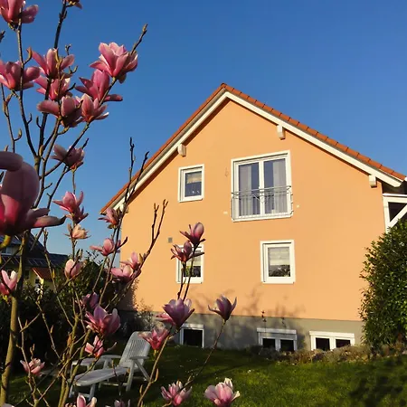 Westend Kappel-Grafenhausen