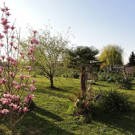 Westend * Kappel-Grafenhausen
