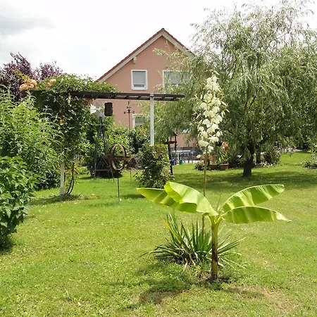 Apartment Westend Kappel-Grafenhausen