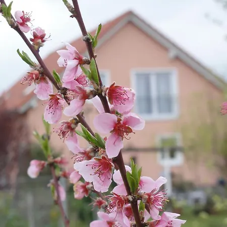 Apartament Westend *